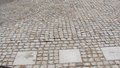DSC03334