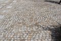 DSC03329