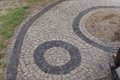 DSC03320