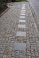 DSC03279