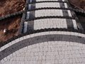 DSC03654