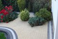 DSC03501