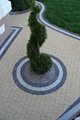 DSC03511